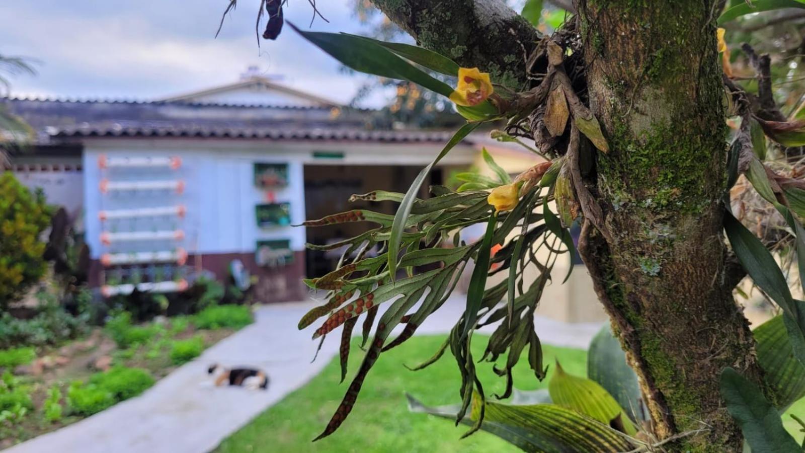 Ecohostel Dos Canyons Santa Catarina Praia Grande  Ngoại thất bức ảnh